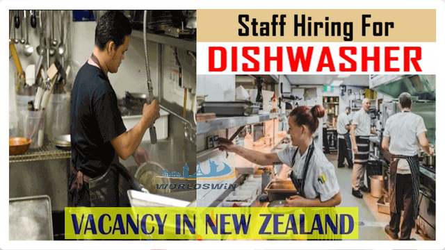 Dishwasher and kitchen vacancies new zealand.PNG