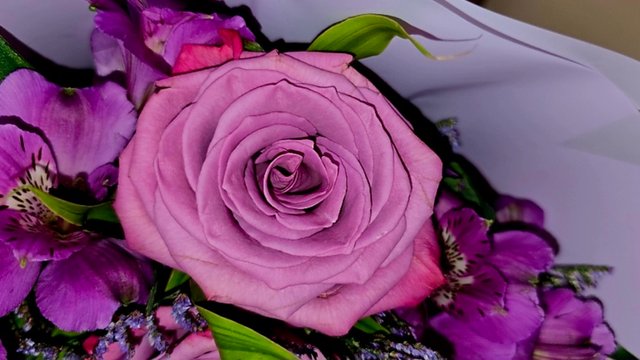 Screenshot_20250909_002912_Gallery.jpg