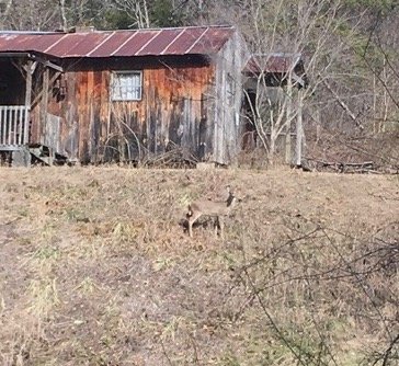 IMG_0375 2.jpg