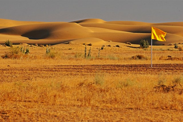 1416310548_Desert-National-Park-Jaisalmer-rajasthan.jpg