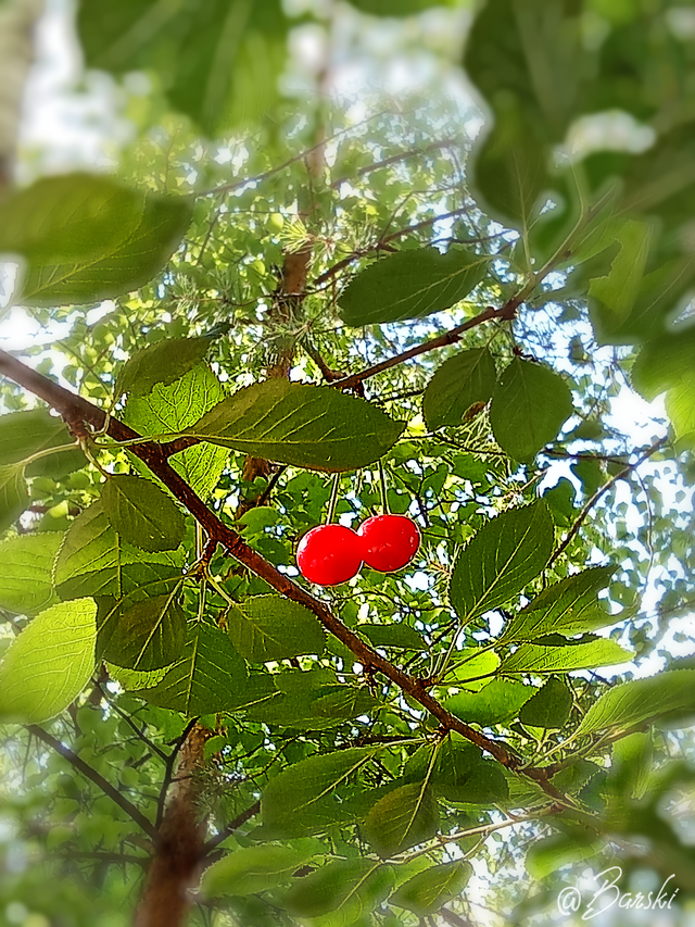 IMG_20250706_172632.png