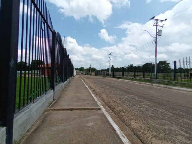 20250706_114138.jpg