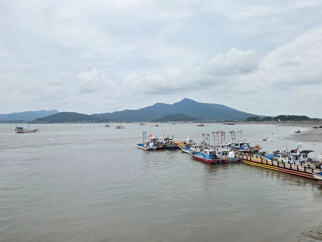 20250817_141400.jpg