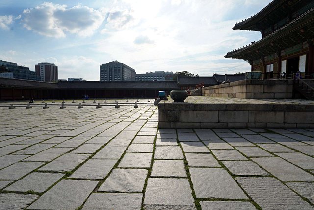 b-DSC00701.JPG