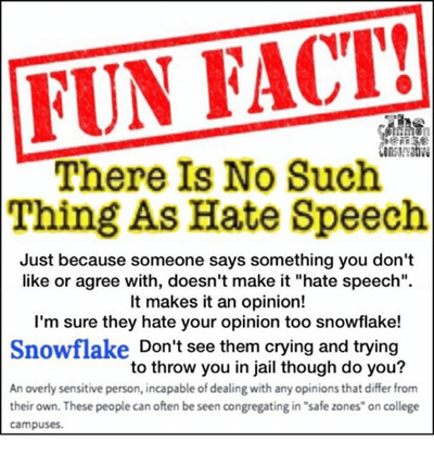 hate_speech_is_a_myth_by_skyhawkjd-dbf4v1x.png