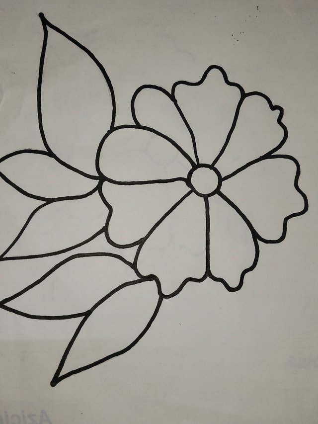 IMG20250629193858.jpg