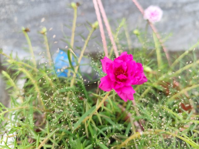 IMG_20250619_121745.jpg