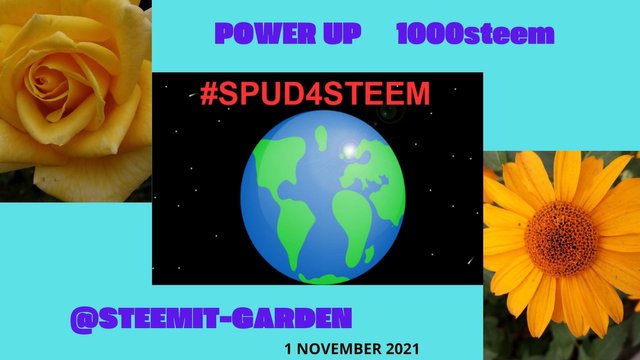 POWER UP 1000steem.jpg