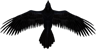 Raven Render Smallest for Medium.png