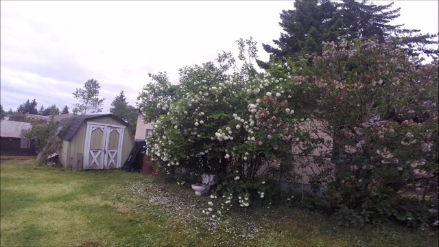 snap - 2019-05-22T200136.809.jpg