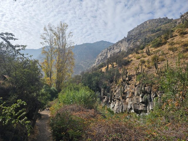 1000624133.jpg