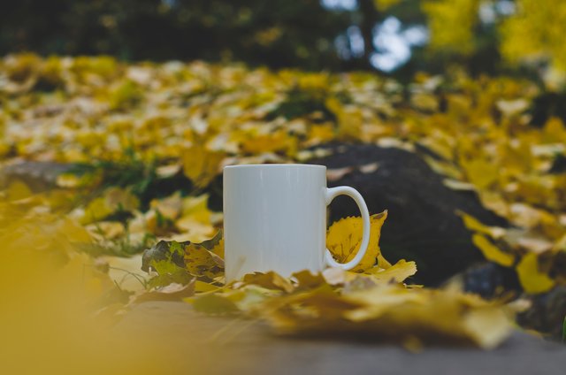 A solo mug on the yellow leafy ledge.JPG