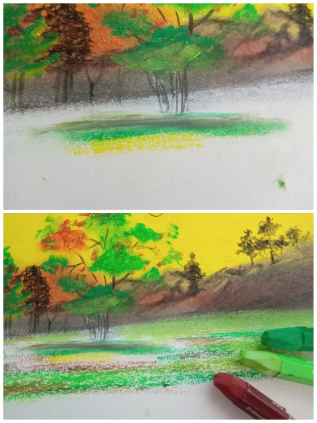 Collage_20250802_072729.jpg