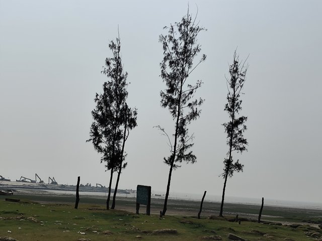 IMG_20250224_132439.jpg
