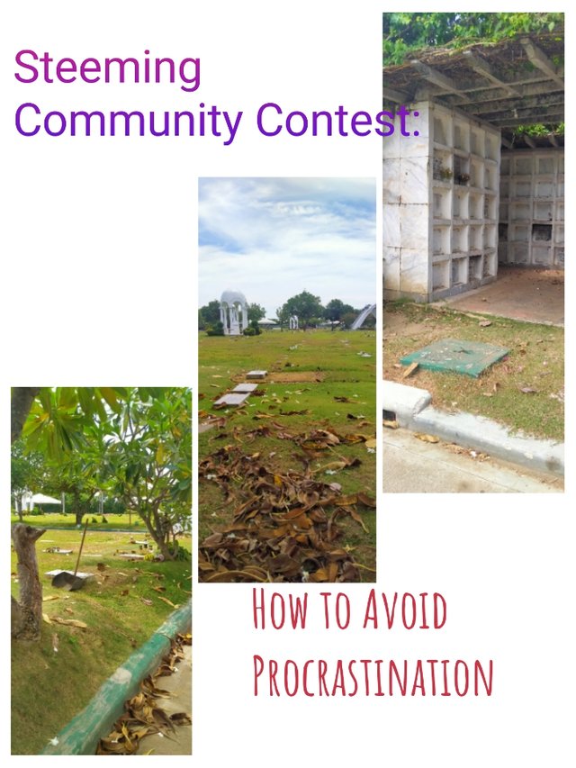 photocollage_20218710130634.jpg