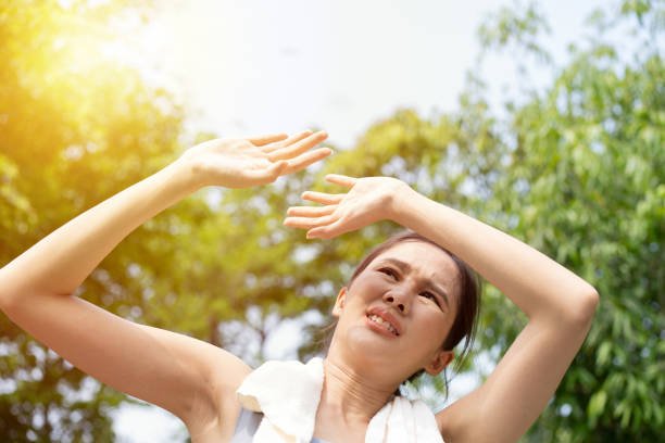 istockphoto-1654539957-612x612.jpg