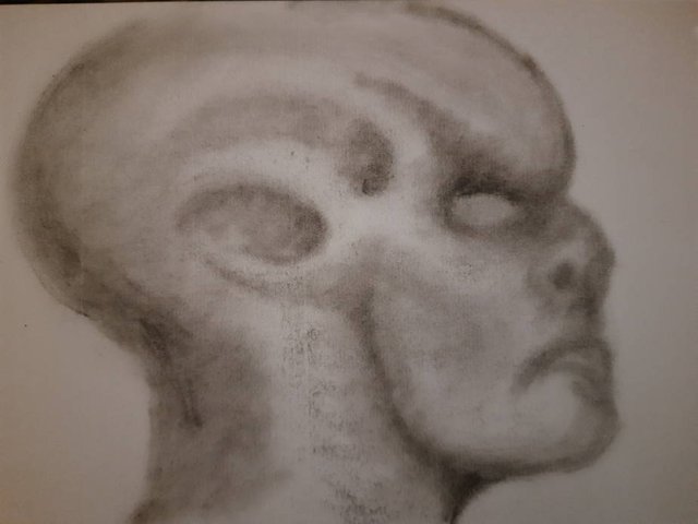 20250628_103344.jpg