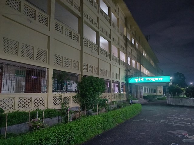 20250529_004456.jpg
