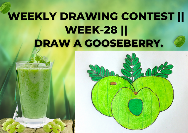 Weekly Drawing Contest  Week-28  Draw a Gooseberry..png