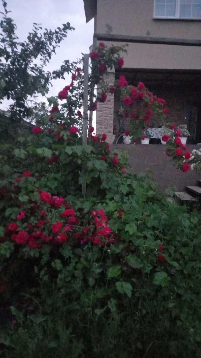 Изображение WhatsApp 2025-06-23 в 20.17.14_2d906cfe.jpg