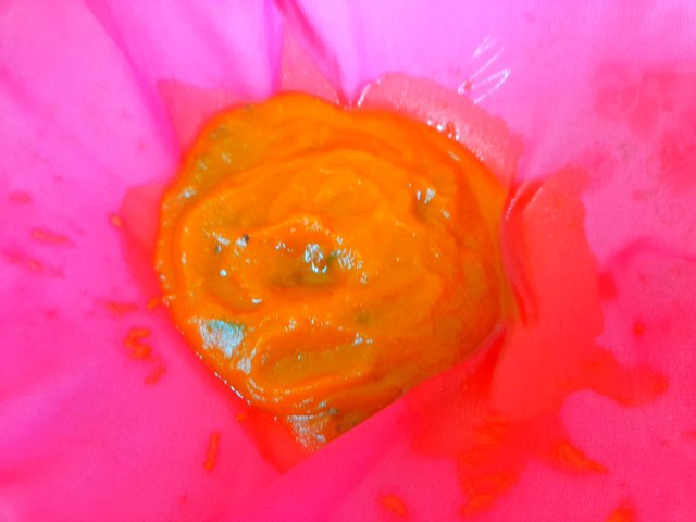 20251008_115118.jpg