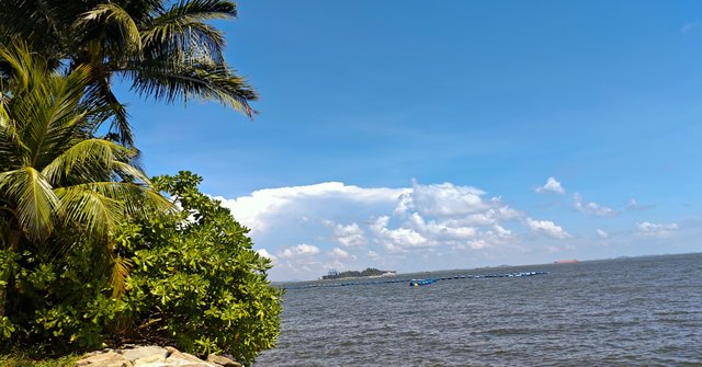 IMG_20250912_075153.jpg