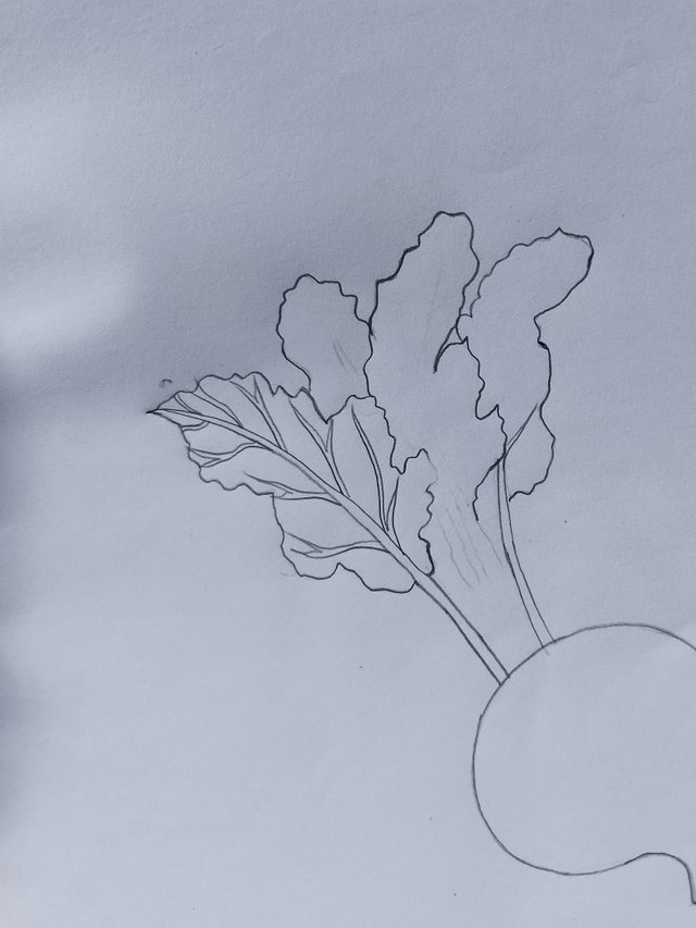 1000057760.jpg