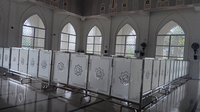 20250616_120356.jpg
