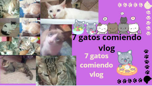 40 videos sarix.PNG