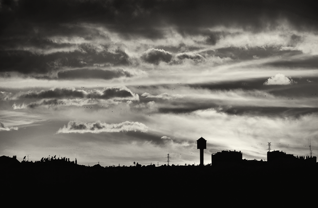 DSC_2480-2-Exp-BW.png