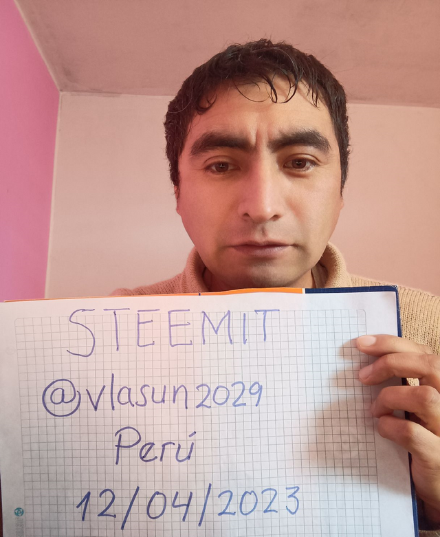 perfil steemit.png