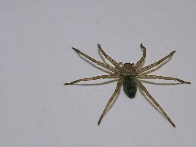 IMG20250329041023.jpg