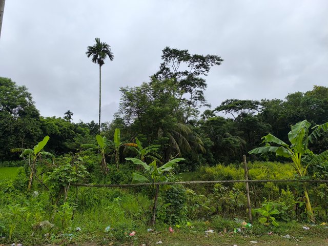 IMG_20250912_075940.jpg