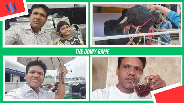 The Diary Game.png