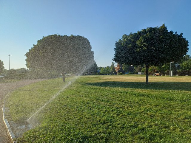 20250722_064726.jpg