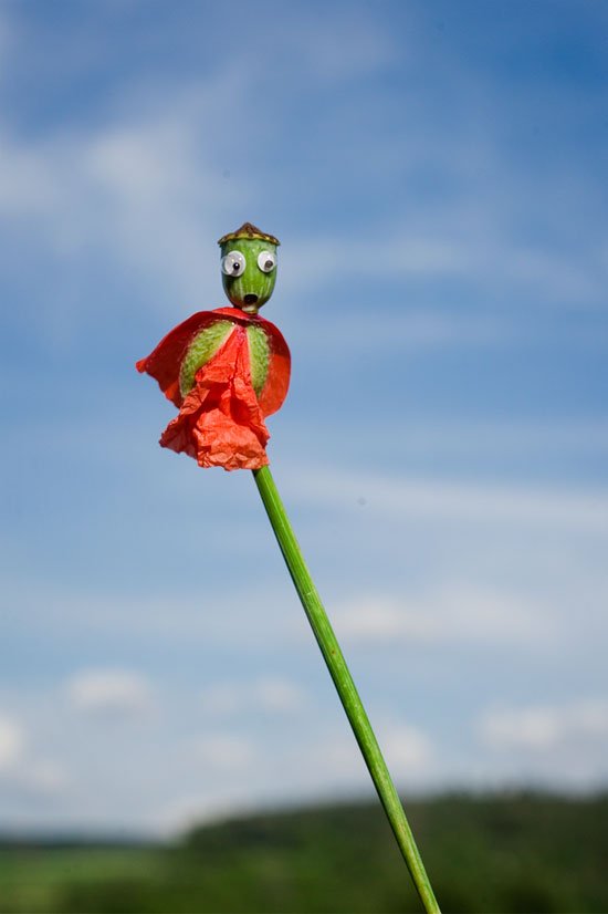 Poppy Puppet #GooglyEyes tall portrait image by @fraenk