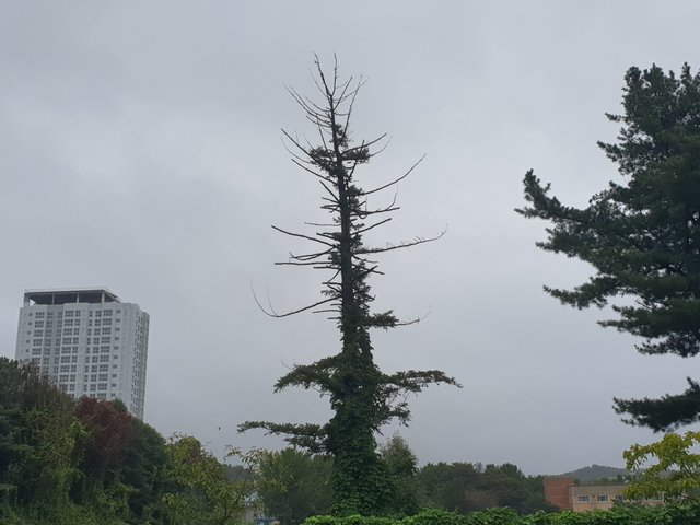 20251007_082144.jpg