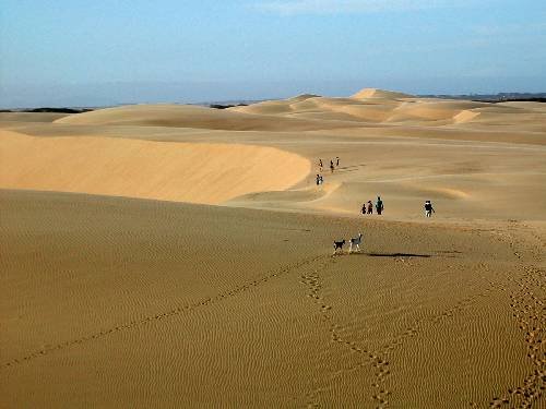 medanos de coro vzla.jpg