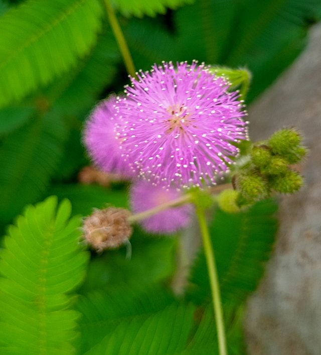 IMG20241008091656.jpg
