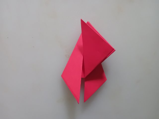 1000042543.jpg