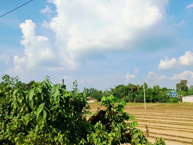 1000045678.jpg