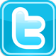 Twitter_Logo_Mini.png
