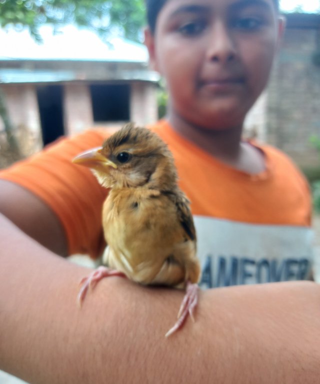 20250711_102507~2.jp