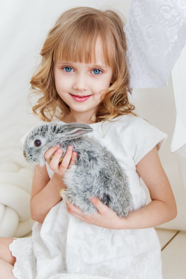 smiling-girl-holding-gray-rabbit-1462636.jpg