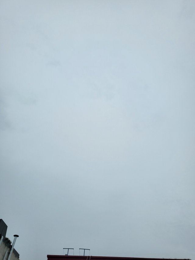1000020419.jpg