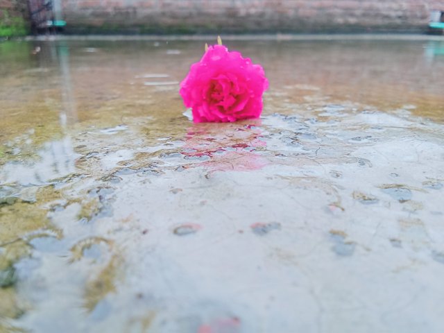 IMG20250530103619.jpg