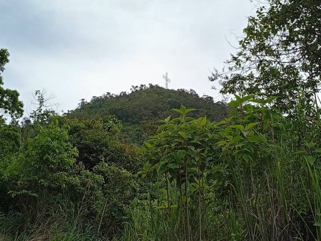 IMG_20250712_102403.jpg