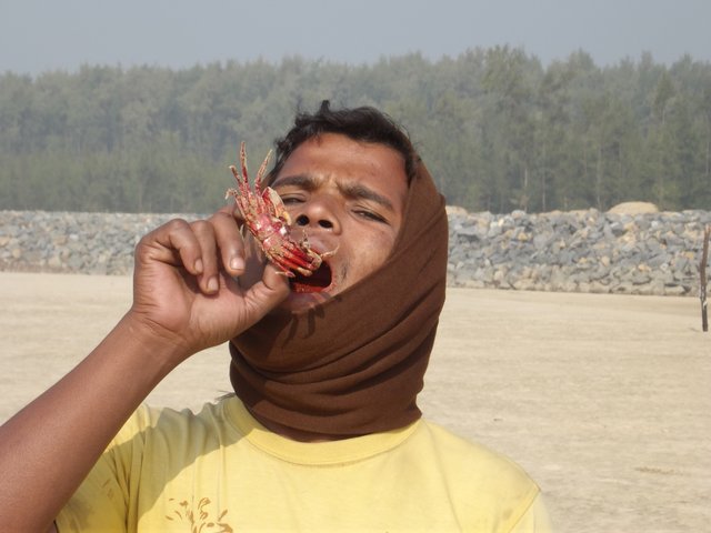 DSCF3381.JPG