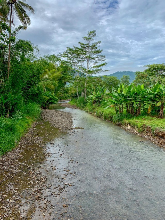 A small river with green surrounding, not far from Borobudur Temple, Indonesia. Took this picture during a morning jog.jpg