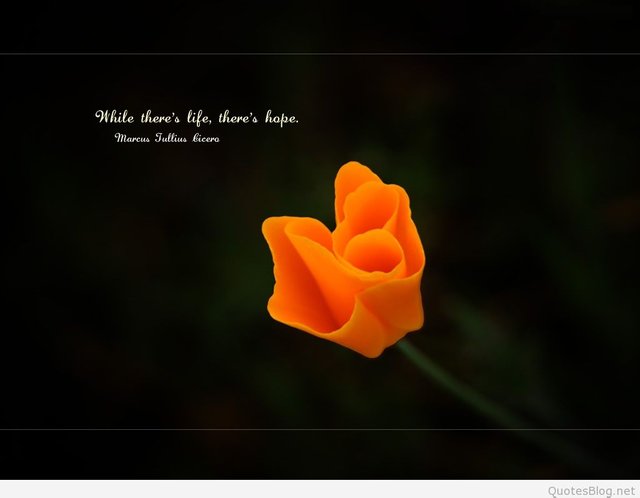 Quotes-While-Theres-life-theres-hope-quote-wallpaper.jpg